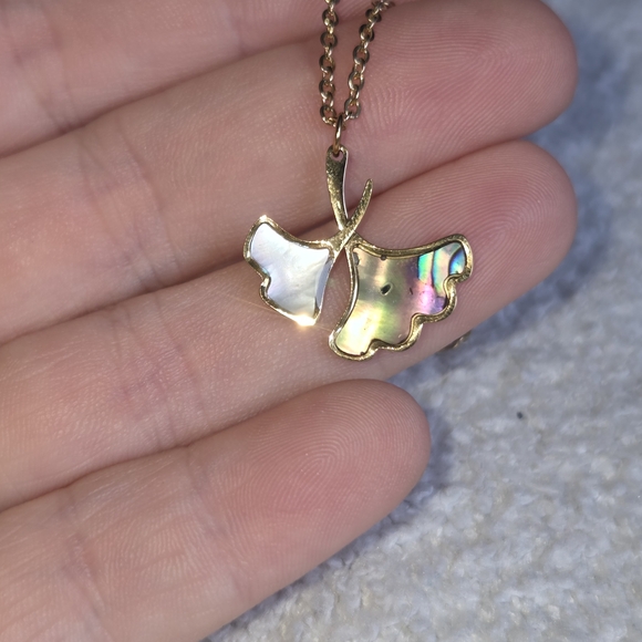 Jewelry - Elegant Mother Of Pearl And Abalone Necklace & Earring Set